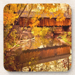 Woolslayer Covered Bridge Coaster