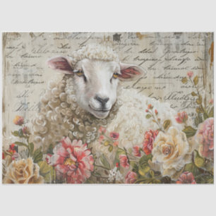 Wooly Sheep Tissue Paper