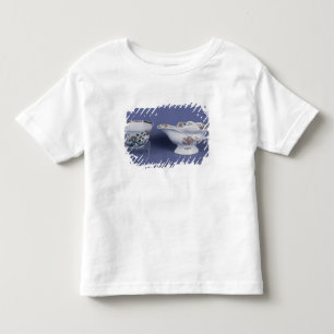 Worcester shaped oval sauce boat and octagonal toddler t-shirt