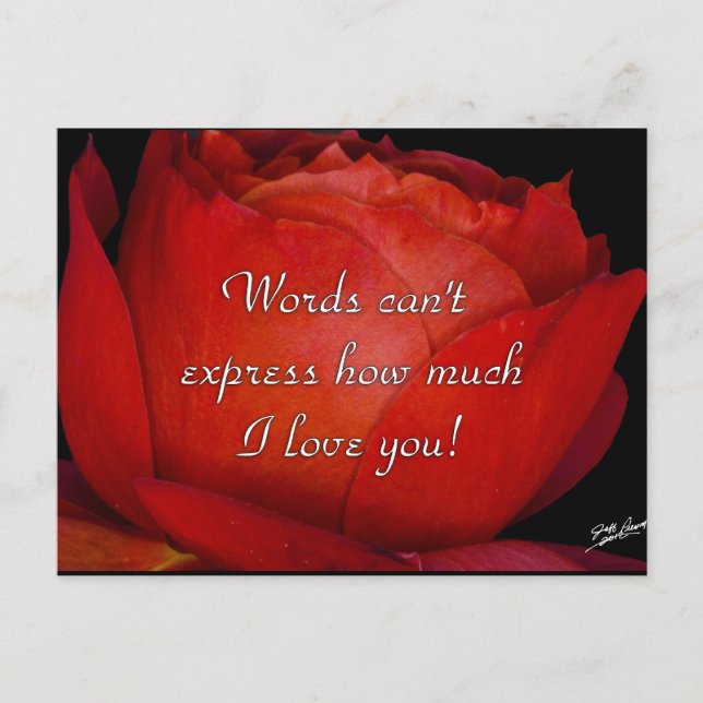 Words Can't Express Postcard (Front)