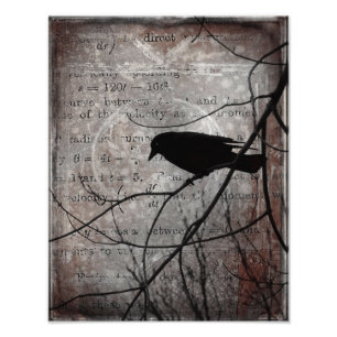 Words Of Crow Photo Print