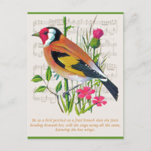 Words of Encouragement Postcard