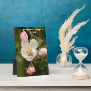 Words Of Wisdom Tabletop Plaque with Easel