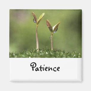 Words To Live By: Patience magnet