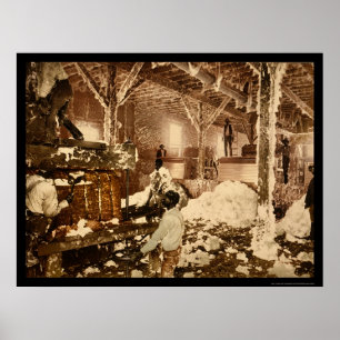 Workers Inside the Cotton Gin in Dahomey, MS 1898 Poster