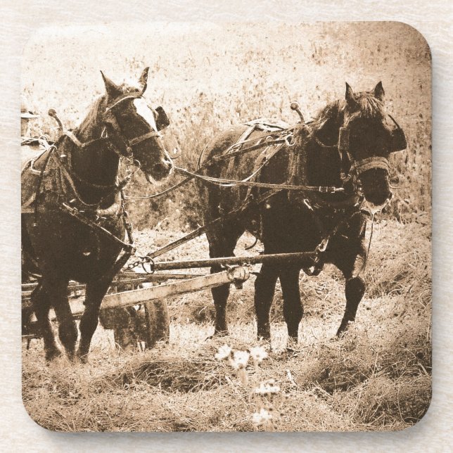 Working Amish Horses Sepia Coaster (Front)