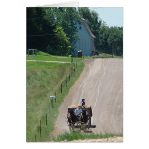 Working Amish Pinto Draughts On the Road in Kalona