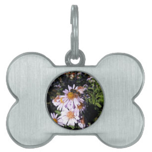 Working Bee Daisies Pet ID Tag