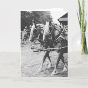 Working Draught Horses in Black and White Card