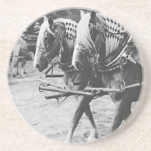 Working Draught Horses in Black and White Coaster (Front)