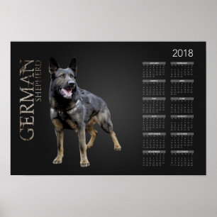 Working German Shepherd Dog  - GSD Calendar 2018 Poster