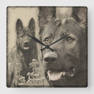 Working German Shepherd Dog - GSD Square Wall Clock