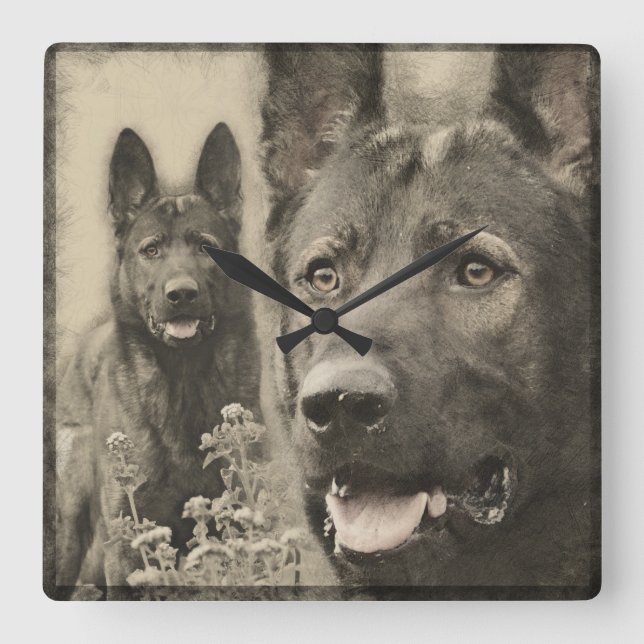 Working German Shepherd Dog - GSD Square Wall Clock (Front)