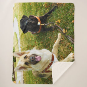 Working girls sherpa blanket