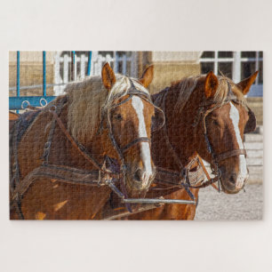 working horses puzzle