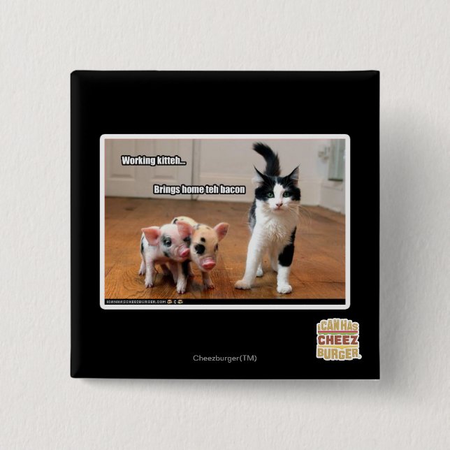 Working kitteh 2 inch square button (Front)