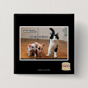 Working kitteh 2 inch square button