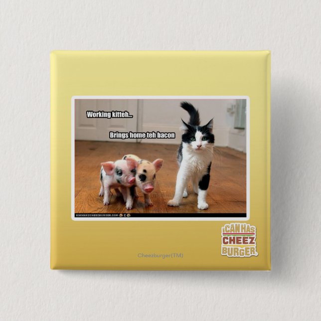 Working kitteh 2 inch square button (Front)