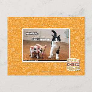 Working kitteh postcard