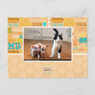 Working kitteh postcard