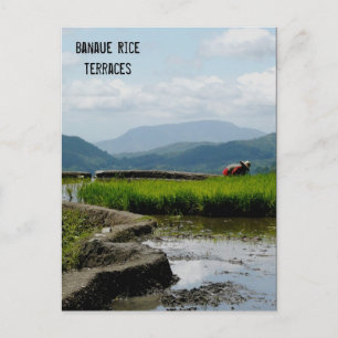 Working on the Terraces Postcard