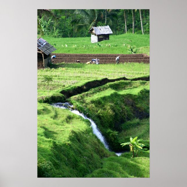 Working the Fields Poster (Front)