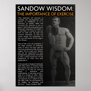 Workout Fitness Gym Motivational Poster