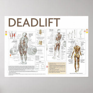 Workout Motivational Poster