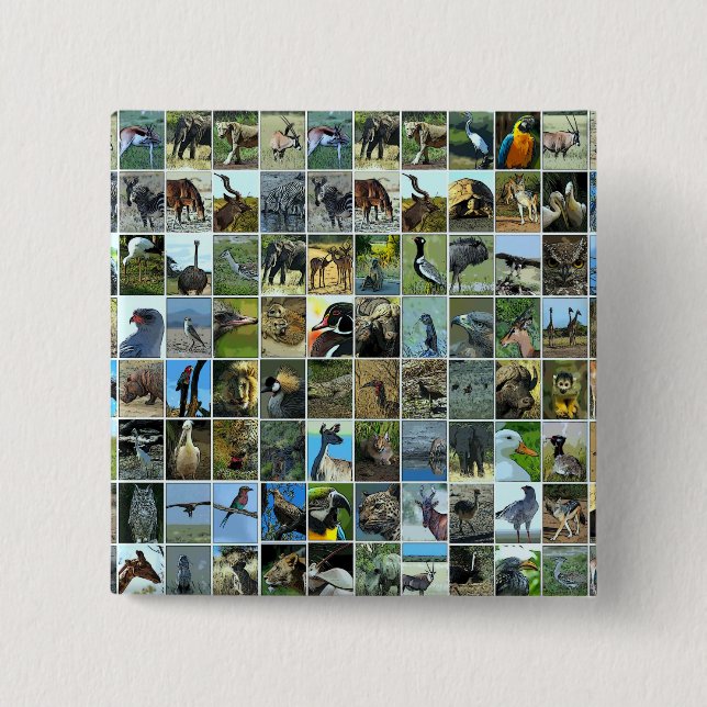 World animals 2 inch square button (Front)