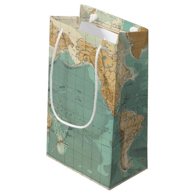 World bathyorographical map small gift bag (Back Angled)