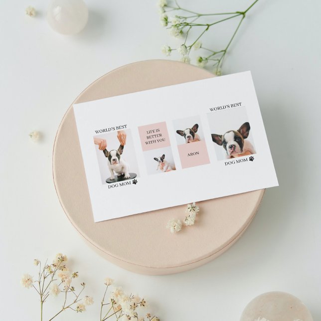 World Best Dog Mom | Collage Photo | Pastel Pink (Creator Uploaded)