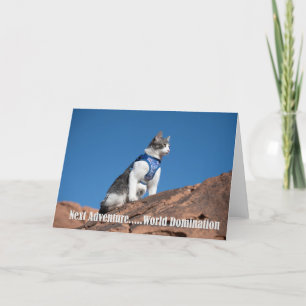 World Domination cat notecard