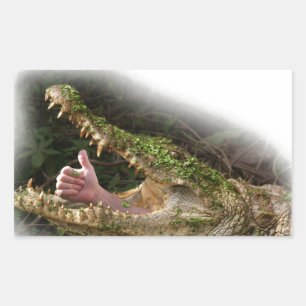 world hide & seek champion sticker