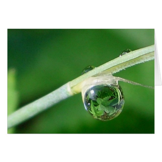World in a droplet (Front Horizontal)