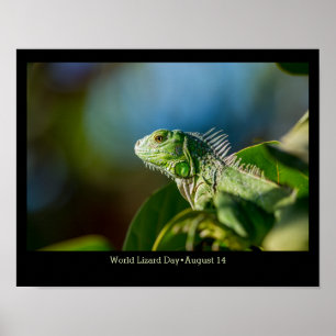 World Lizard Day, iguana Poster