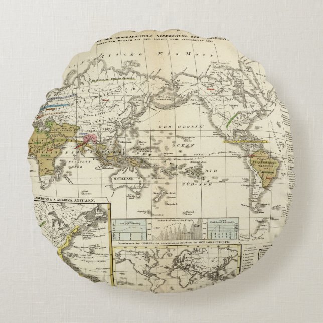 World Map of Diseases Round Pillow (Front)
