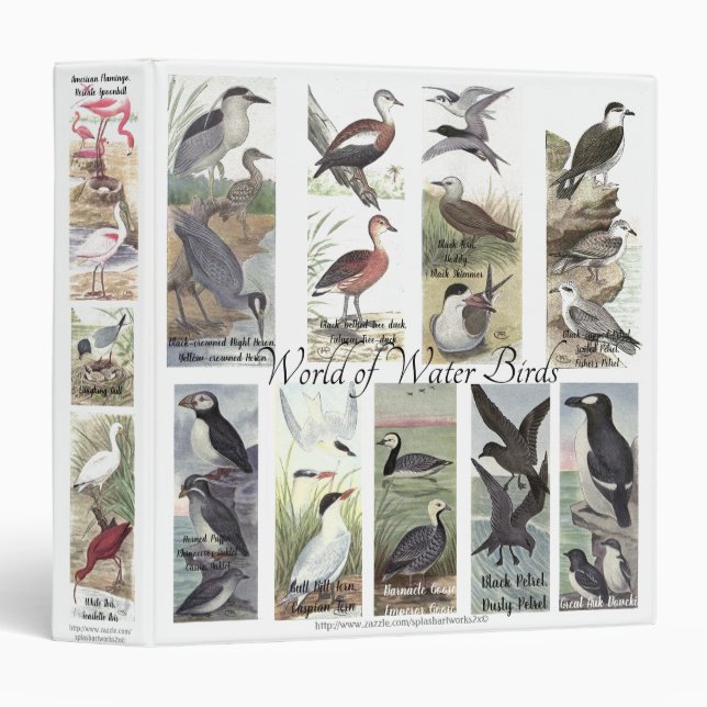 "World of Water Birds" Binder (Front/Spine)