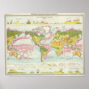 World vegetation & ocean currents Map Poster