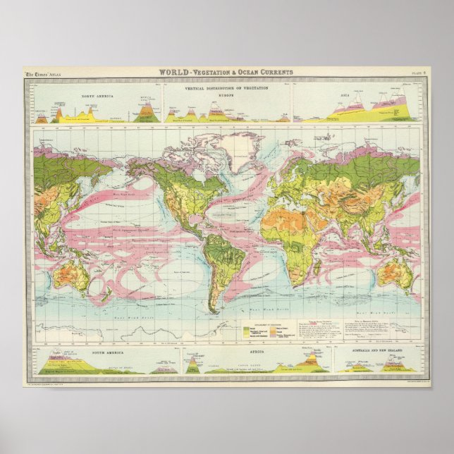 World vegetation & ocean currents Map Poster (Front)