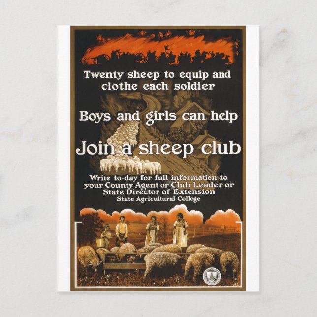 World War 1 Sheep Poster Advertisement Postcard (Front)