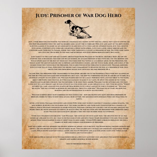 World War II Dog Hero Inspirational Poster (Front)