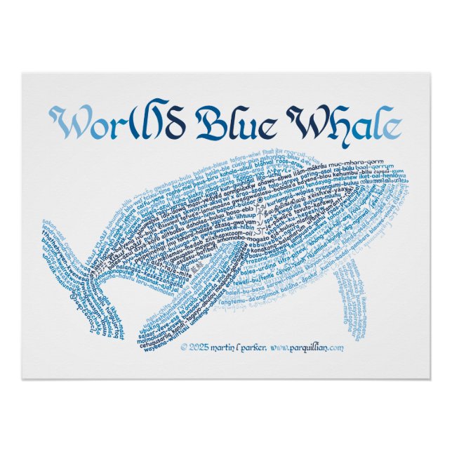World Word Blue Whale Poster (Front)