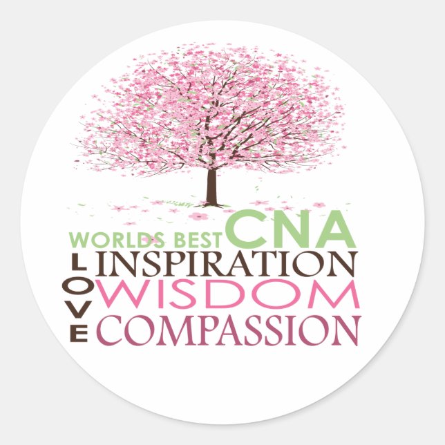World's Best CNA Gifts Classic Round Sticker (Front)