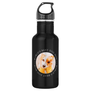 World's Best Dog Mom Elegant Simple Custom Photo 532 Ml Water Bottle