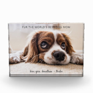 World's Best Dog Mom  Mother's Day Photo Block