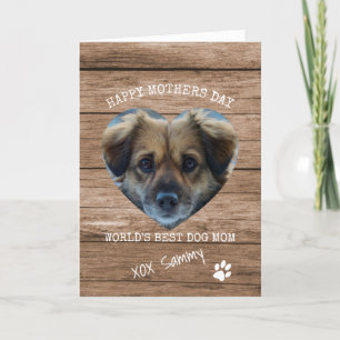 World's Best Dog Mom Photo Mothers Day Holiday Card