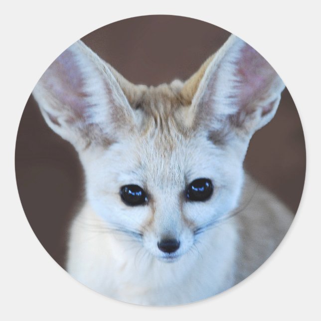 Worlds Cutest Fennec Fox Classic Round Sticker (Front)