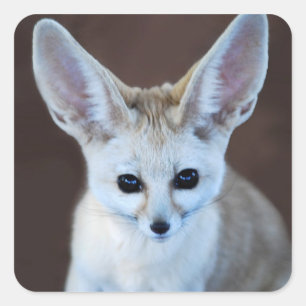 Worlds Cutest Fennec Fox Square Sticker