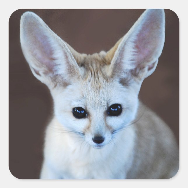 Worlds Cutest Fennec Fox Square Sticker (Front)