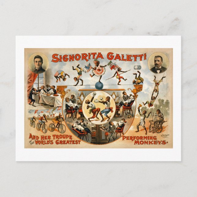 World's Greatest Performing Monkeys 1892 Postcard (Front)